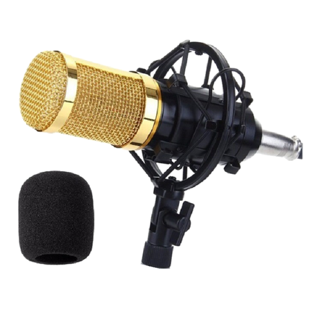 Professional Condenser Studio Microphone ST-225_0
