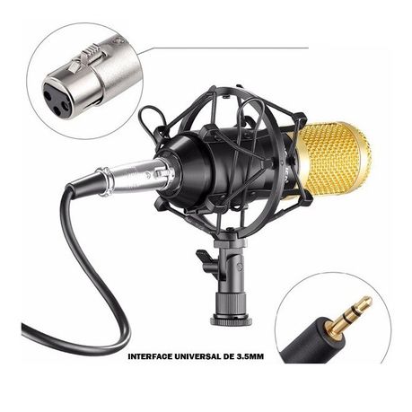 Professional Condenser Studio Microphone ST-225_2