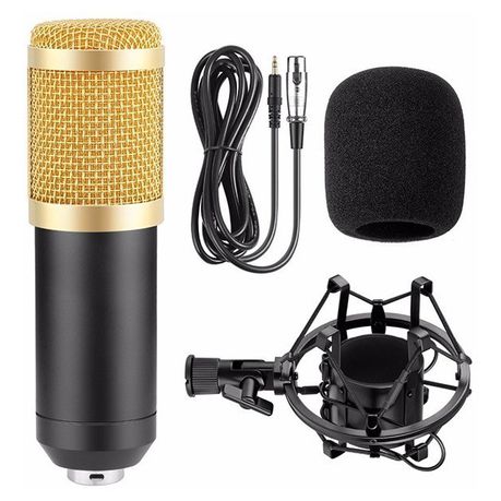 Professional Condenser Studio Microphone ST-225_1