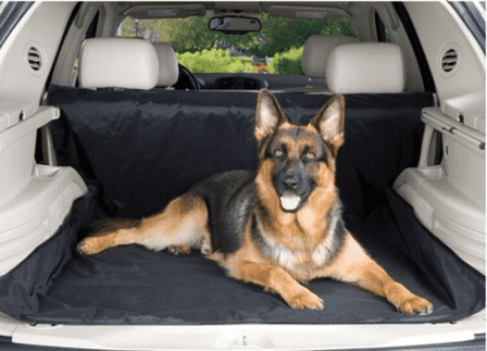 Pet Car Back Seat Cover_1